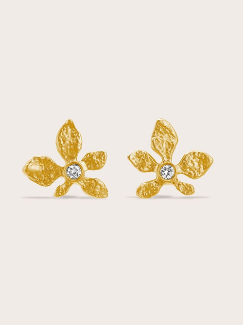 Boucles d'Oreilles Brume Diamant