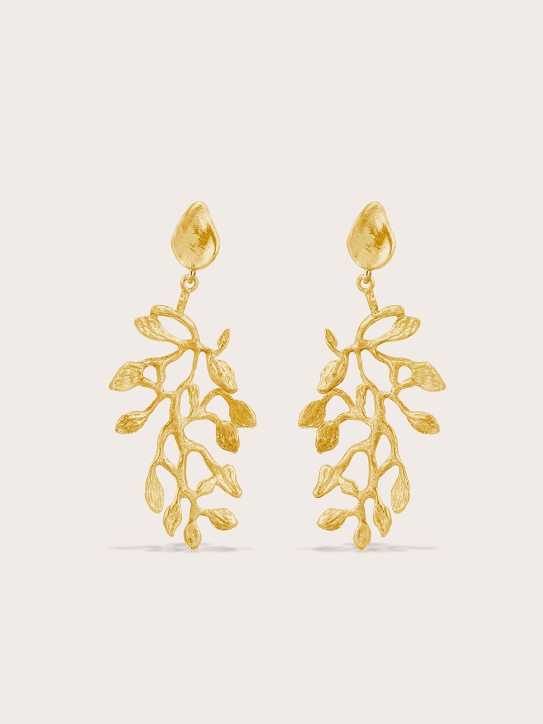 Secret Earrings