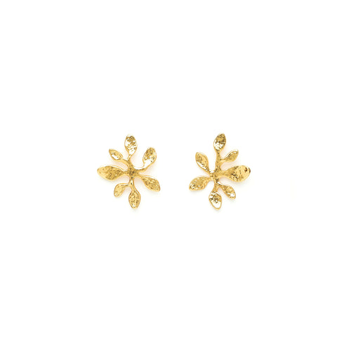 Boucles D'Oreilles Percées Doré Végétal