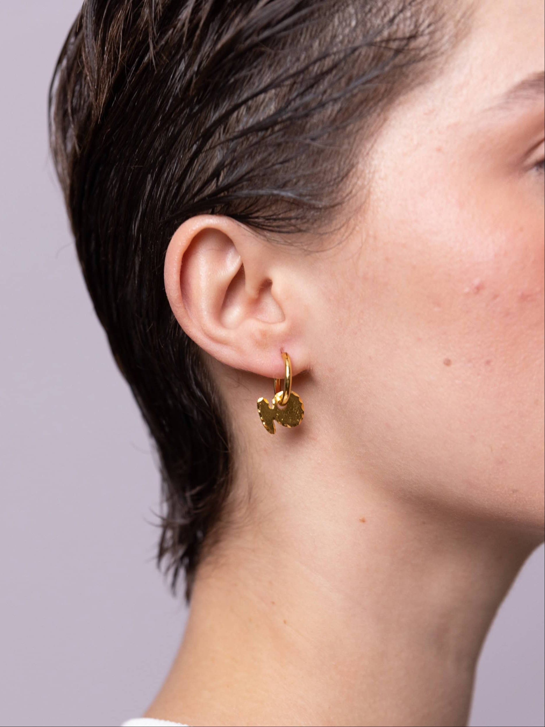 Gold Plated Charms Earrings