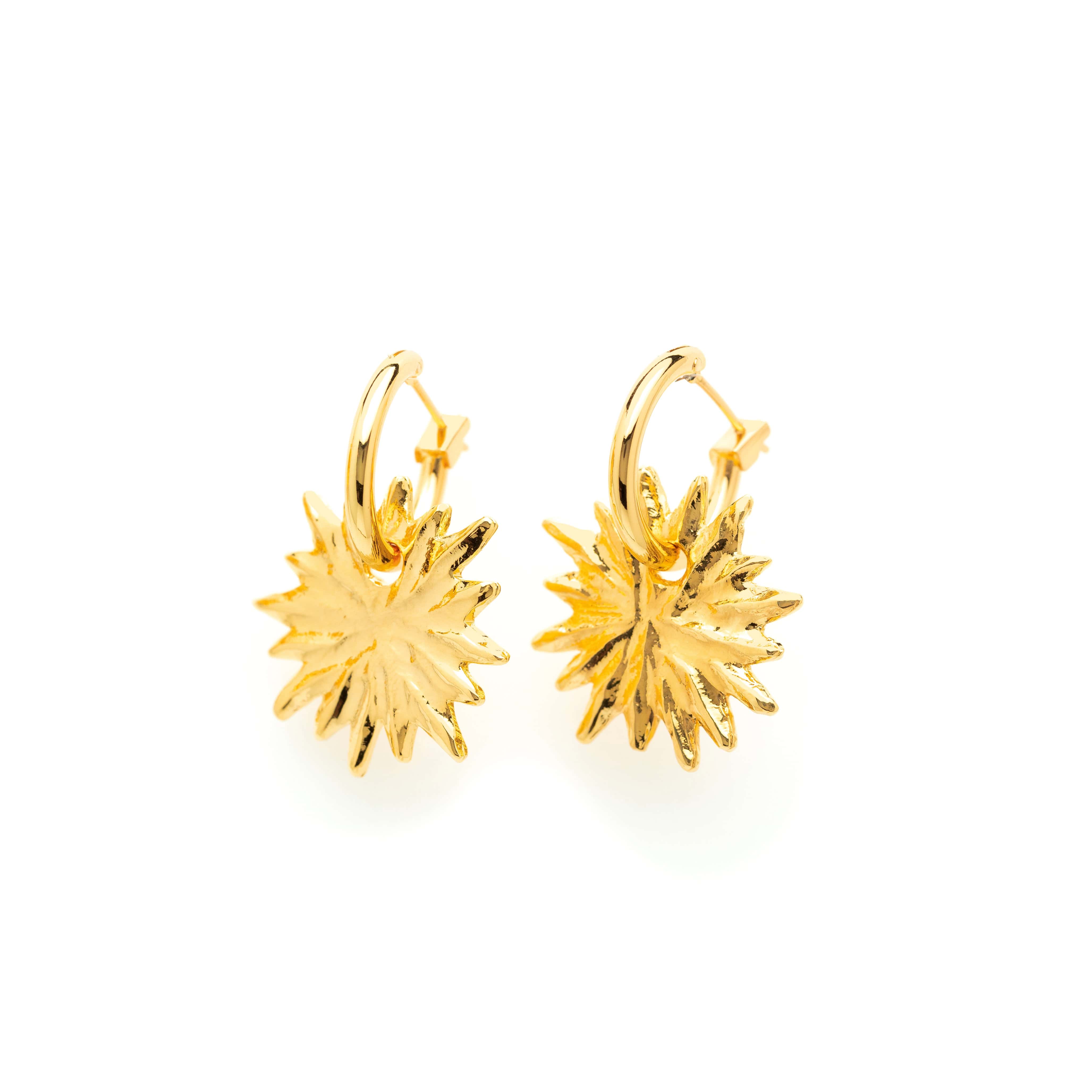 Boucles d’oreilles doré Charms