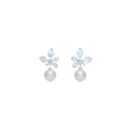 Boucles D’oreilles Percées Argentées Végétal