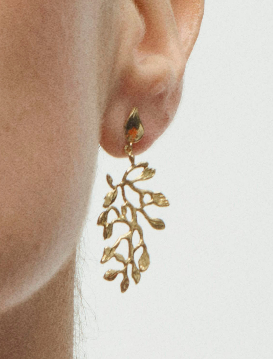 Secret Earrings