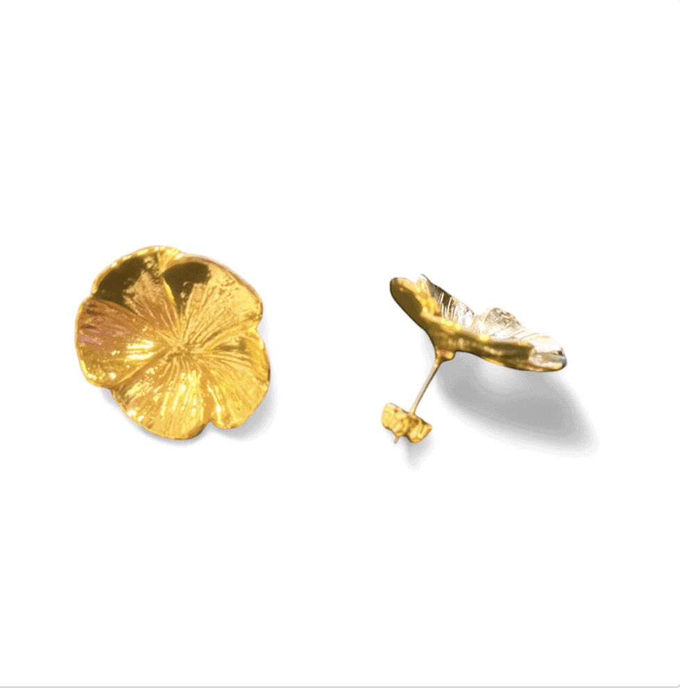 Boucles D'oreilles Percées Paris