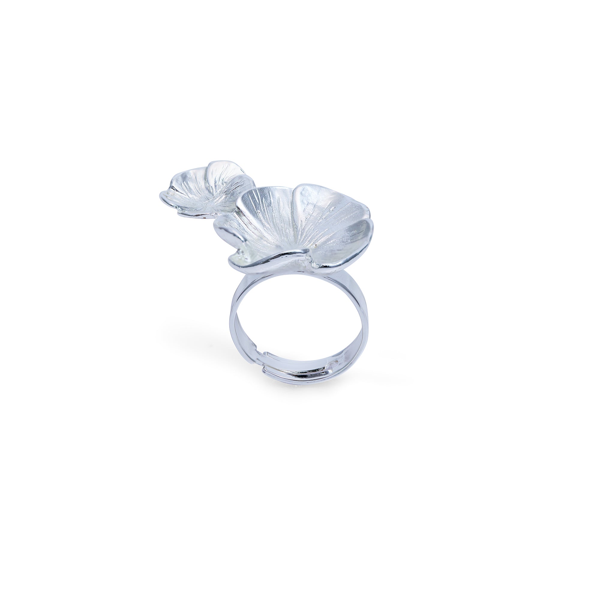 Silver Ring Paris