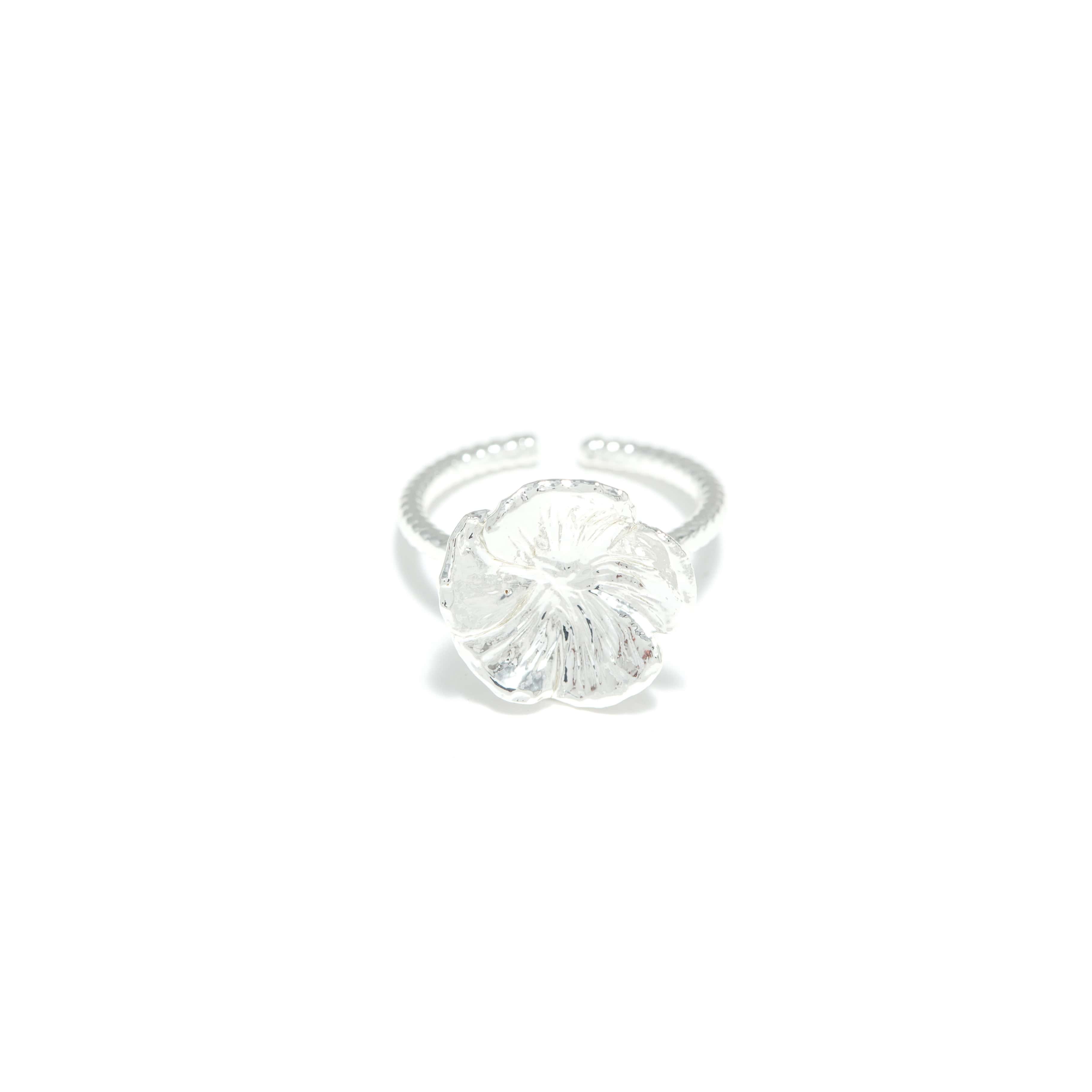 Bague Argenté Paris