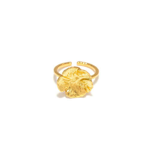 Bague doré Paris